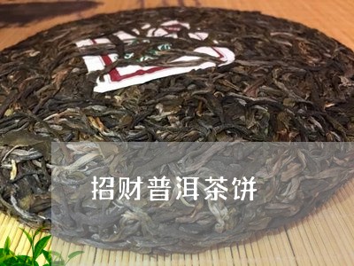 招财普洱茶饼/2023042631206