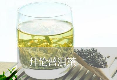 拜伦普洱茶/2023090591604