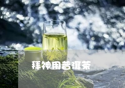 拜神用普洱茶/2023101696350