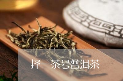 择一茶号普洱茶/2023110976360