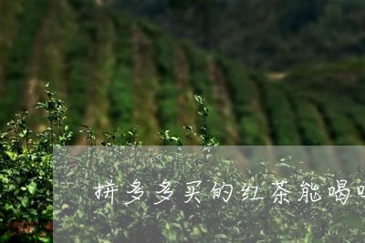 拼多多买的红茶能喝吗/2023060804268