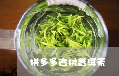 拼多多古树普洱茶/2023120413948