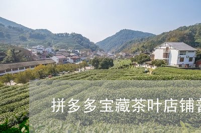 拼多多宝藏茶叶店铺普洱茶/2023110218153