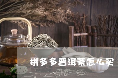 拼多多普洱茶怎么买/2023121673945