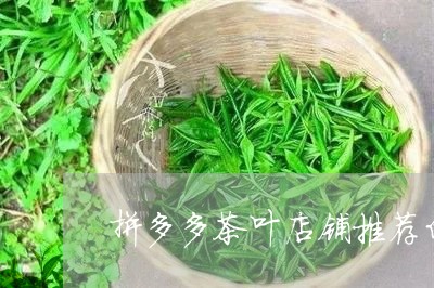 拼多多茶叶店铺推荐白茶/2023102502736