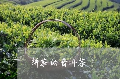 拼茶的普洱茶/2023042868270