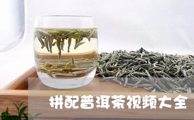 拼配普洱茶视频大全/2023121694916