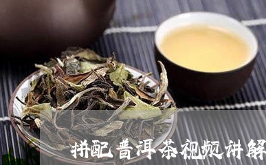 拼配普洱茶视频讲解图片/2023082900594