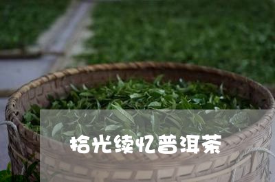 拾光续忆普洱茶/2023082913536