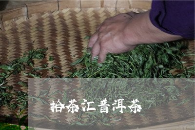 拾茶汇普洱茶/2023042880267