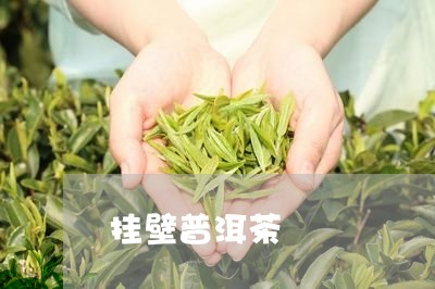 挂壁普洱茶/2023090650483