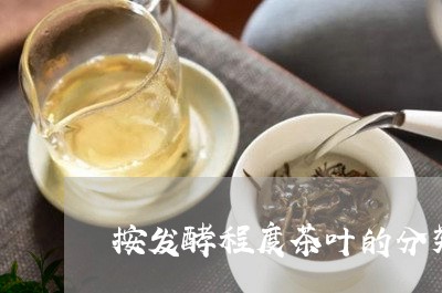 按发酵程度茶叶的分类/2023092250615