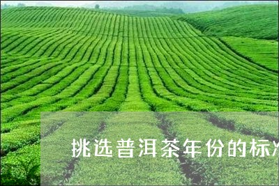 挑选普洱茶年份的标准是多少/2023052865037