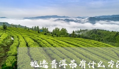 挑选普洱茶有什么方法/2023080293948