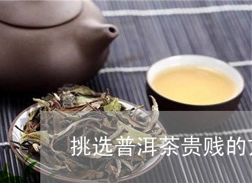 挑选普洱茶贵贱的方法/2023073138382