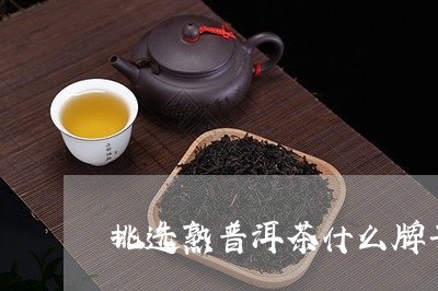 挑选熟普洱茶什么牌子/2023080367359