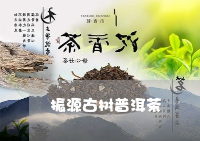 振源古树普洱茶/2023120354172