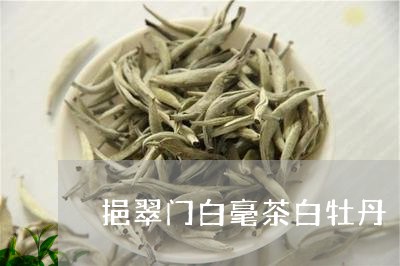 挹翠门白毫茶白牡丹/2023120575948