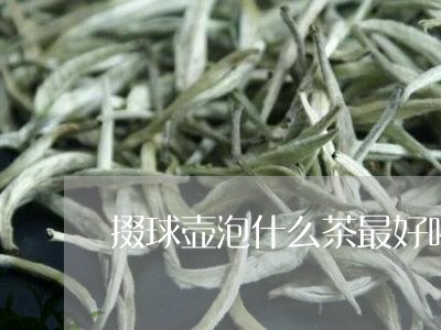 掇球壶泡什么茶最好喝/2023071330502