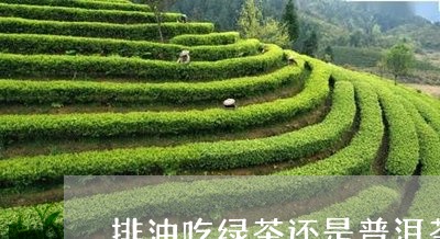 排油吃绿茶还是普洱茶/2023073082816