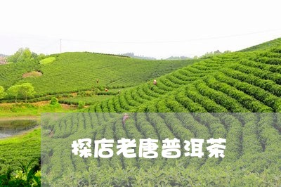 探店老唐普洱茶/2023120317039