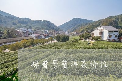 探普号普洱茶价位/2023120483715