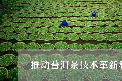 推动普洱茶技术革新和/2023073038261