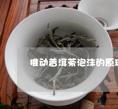 推动普洱茶泡沫的原理/2023080106150