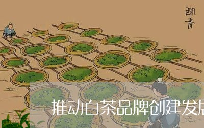 推动白茶品牌创建发展/2023100162938