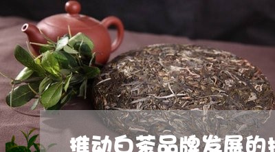 推动白茶品牌发展的措施/2023102549493