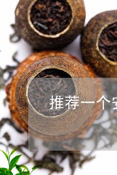 推荐一个安吉白茶茶农店/2023102541513