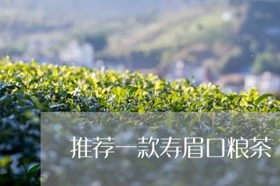 推荐一款寿眉口粮茶/2023120400492