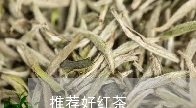 推荐好红茶/2023090270604