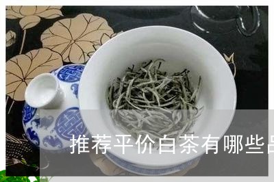 推荐平价白茶有哪些品种/2023102525151