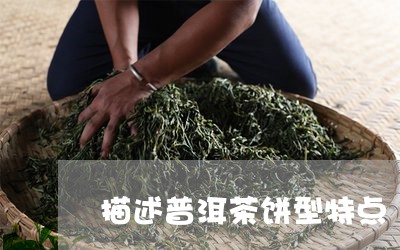 描述普洱茶饼型特点/2023081608271