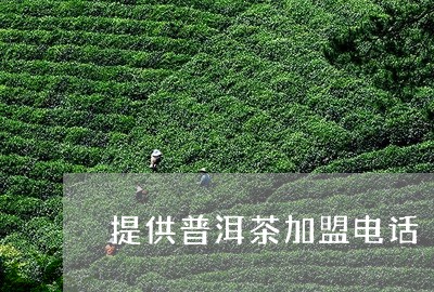 提供普洱茶加盟电话/2023042861502