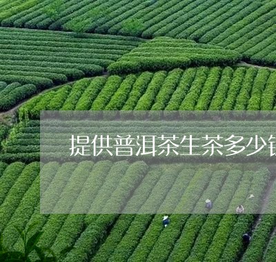 提供普洱茶生茶多少钱/2023062468272