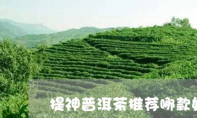 提神普洱茶推荐哪款好一点/2023112530471