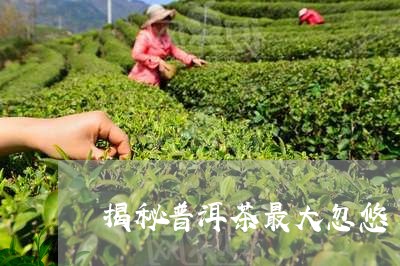 揭秘普洱茶最大忽悠/2023120469673