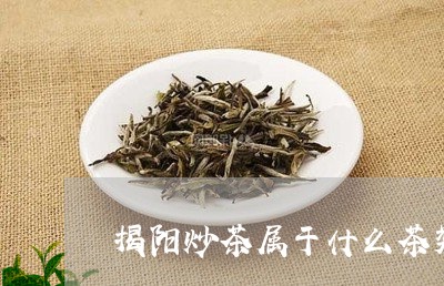 揭阳炒茶属于什么茶类/2023060803737