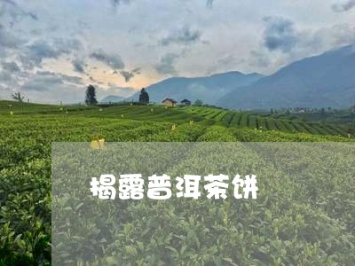 揭露普洱茶饼/2023081558594