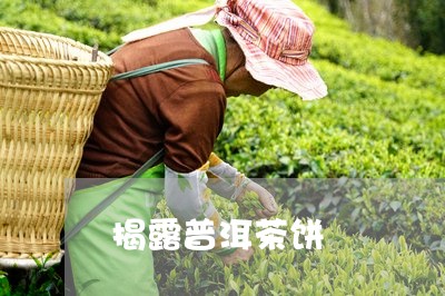 揭露普洱茶饼/2023101608481