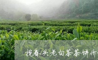 揽春头老白茶茶饼价格/2023100134028