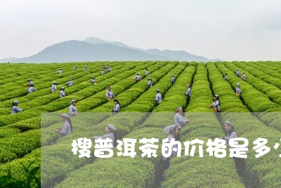 搜普洱茶的价格是多少钱一盒/2023052836492