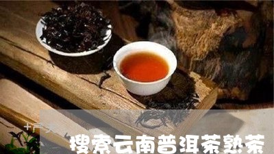 搜索云南普洱茶熟茶/2023091478481