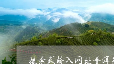 搜索或输入网址普洱茶/2023093061703