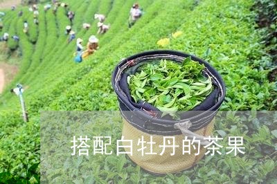 搭配白牡丹的茶果/2023090605159