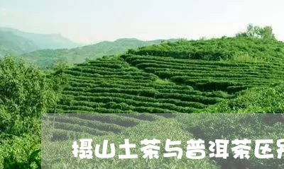 摄山土茶与普洱茶区别/2023062497473