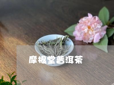 摩根堂普洱茶/2023042698497