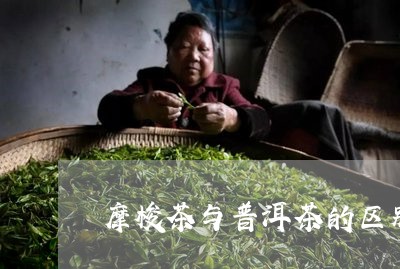 摩梭茶与普洱茶的区别/2023080374917